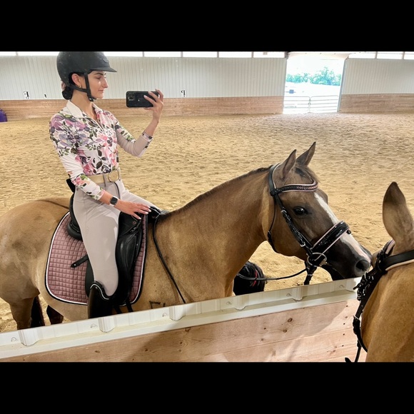 Animo Nuka FW22 Full Seat Breeches - Greige - Picture 2 of 11